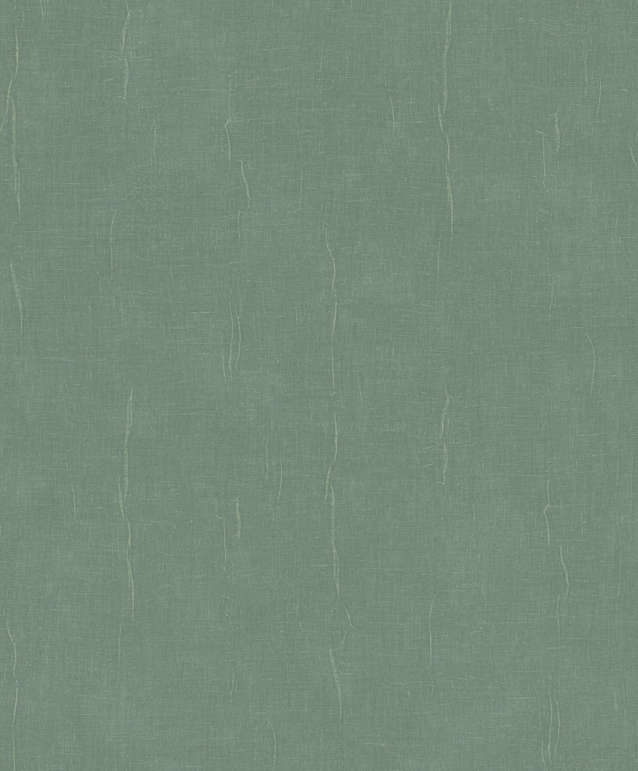 Vert eucalyptus Vert eucalyptus