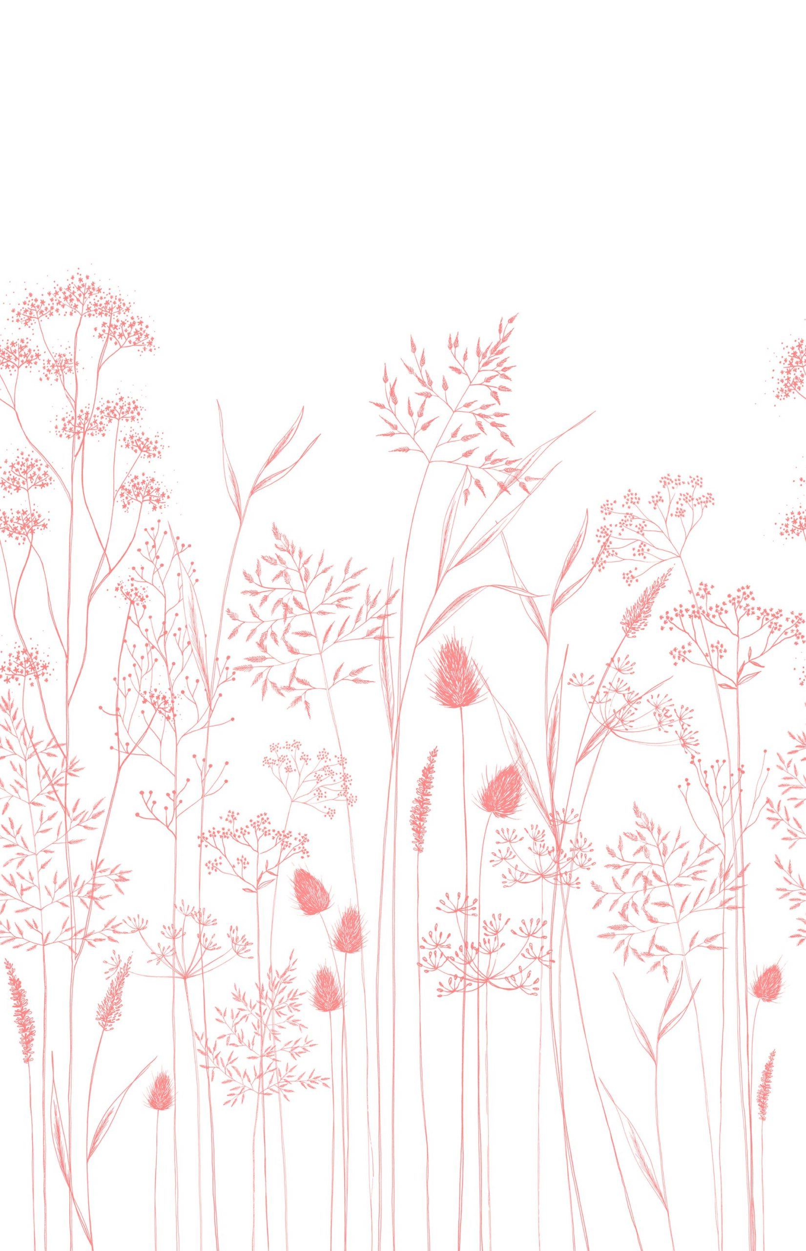 Corail Corail