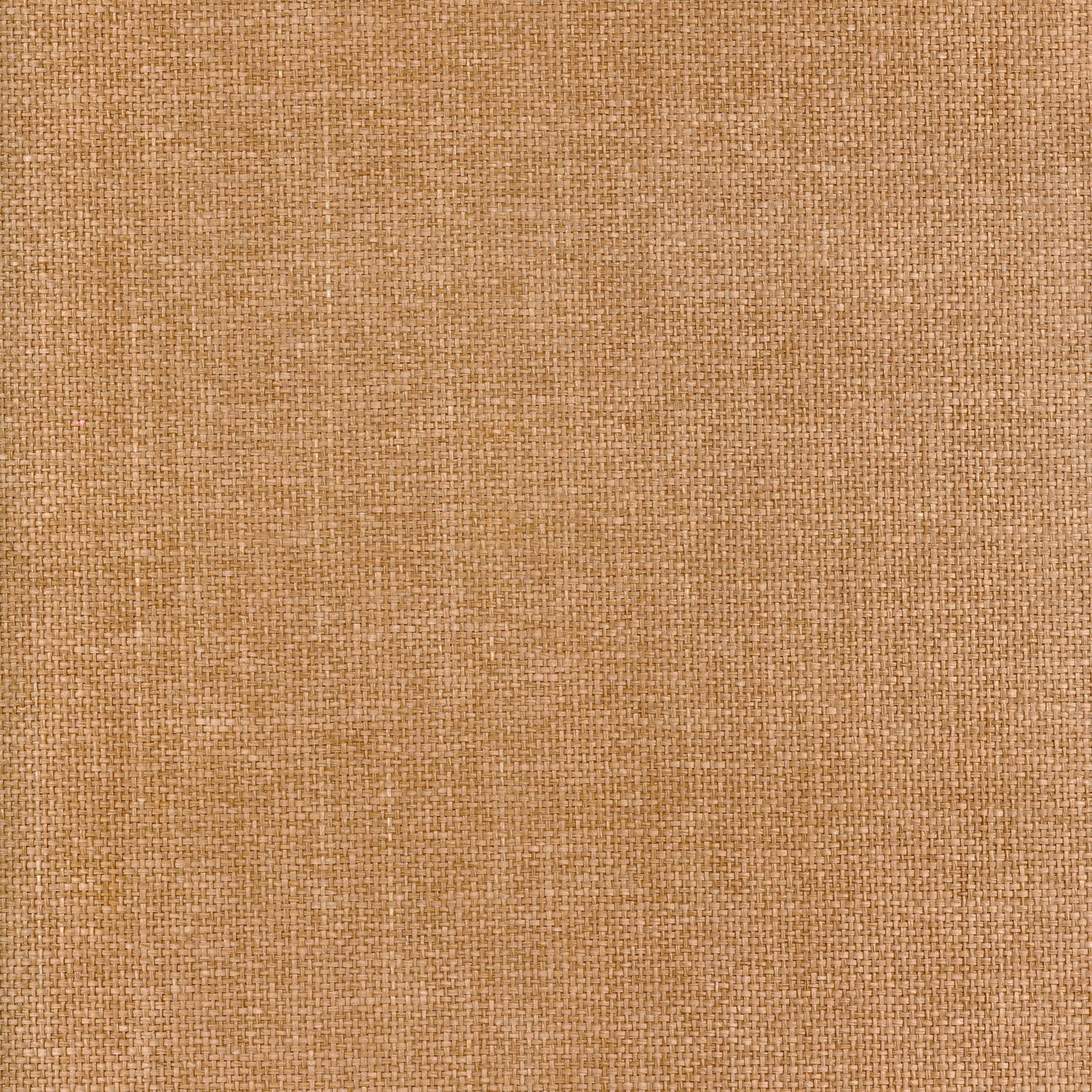 71560218 71560218